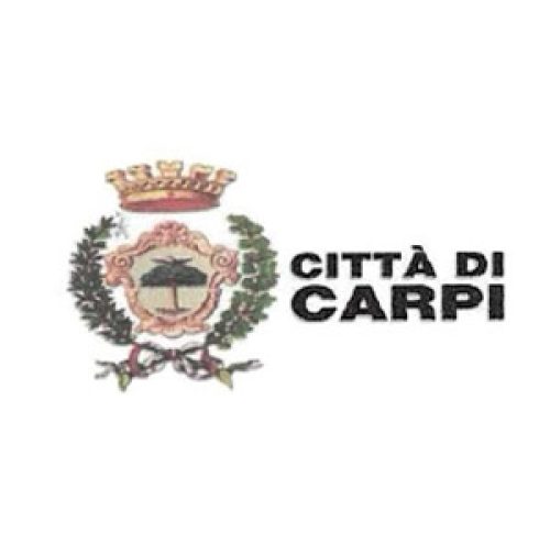 Partnery-carpi